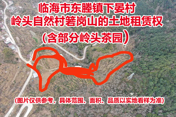 临海市东塍镇下晏村岭头自然村箬岗山的土地租赁权（含部分岭头茶园）